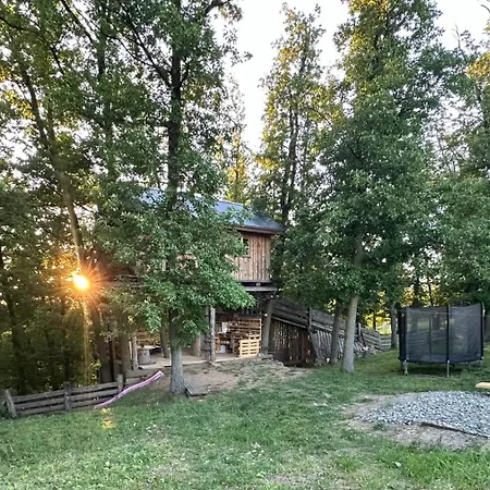 Treehouse Family