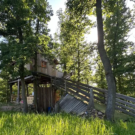Treehouse Family